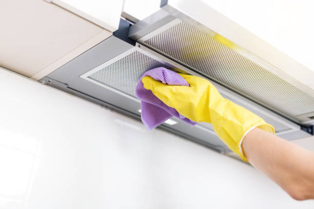 Best Professional Duct Cleaning Services  in Kent City, MI